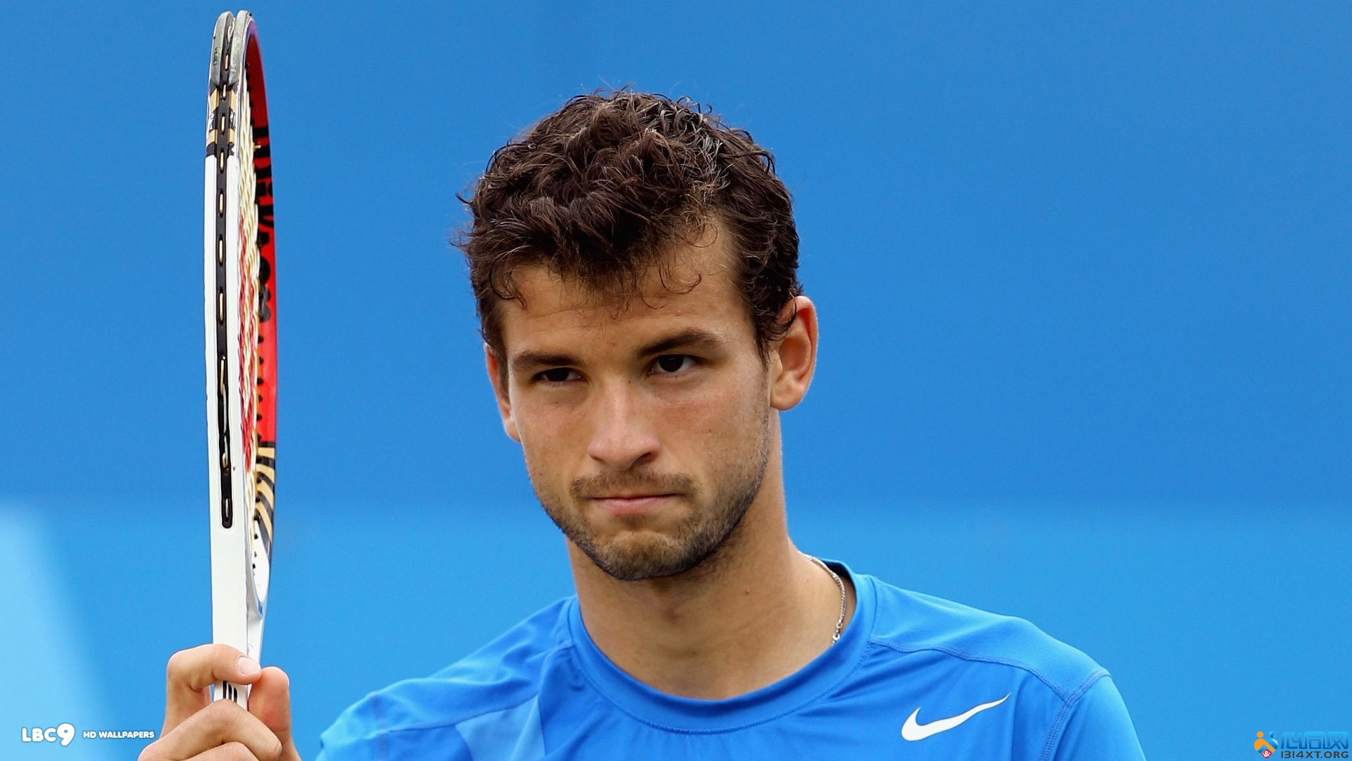 朝的根基 朝的根基